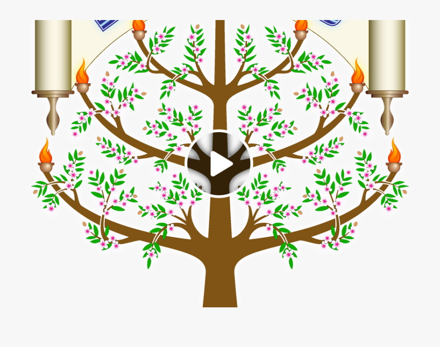 Illustration, Transparent Clipart