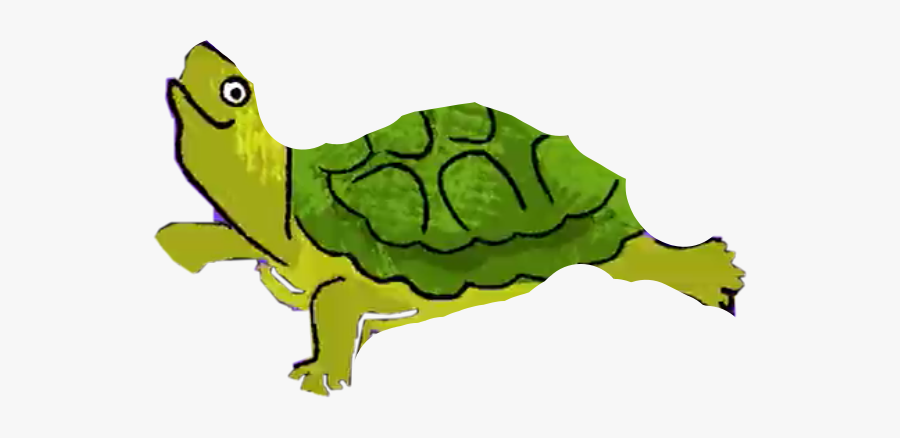 #turtle #mondaymood, Transparent Clipart