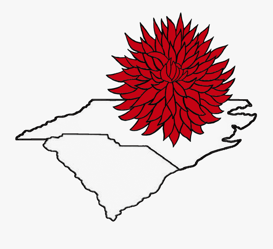 Carolinas Dahlia Society - Illustration, Transparent Clipart