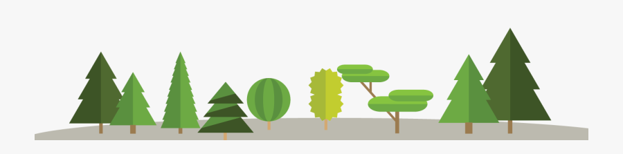 Selecting The Right Carrier Oil For A Pre Shave Oil - Choinka Rysunek, Transparent Clipart