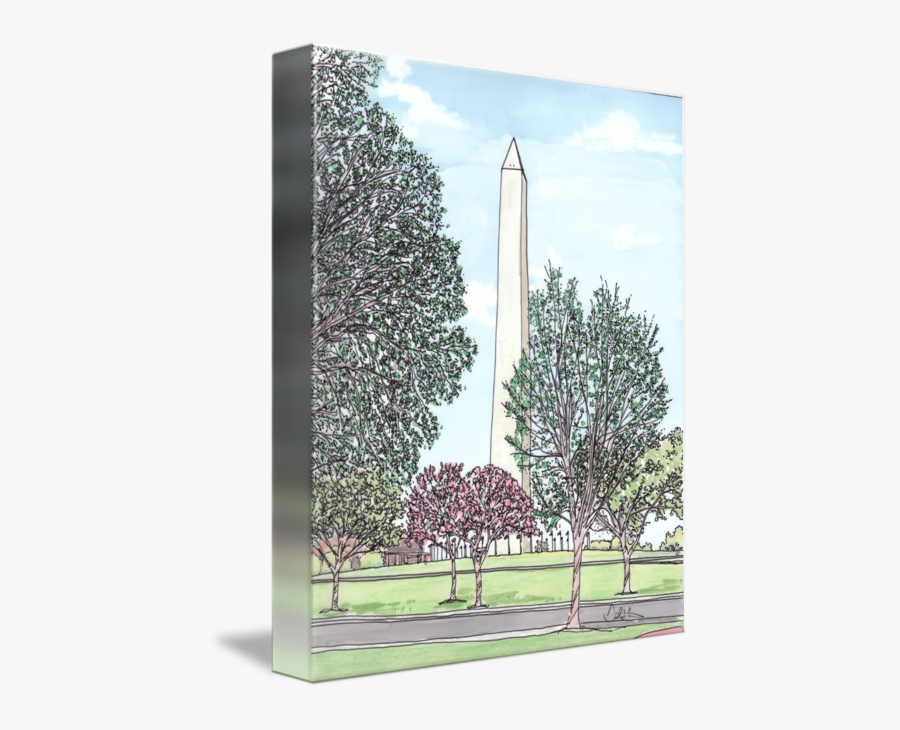 Transparent George Washington Bridge Clipart - Conifer, Transparent Clipart