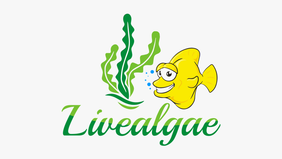 Bony-fish, Transparent Clipart