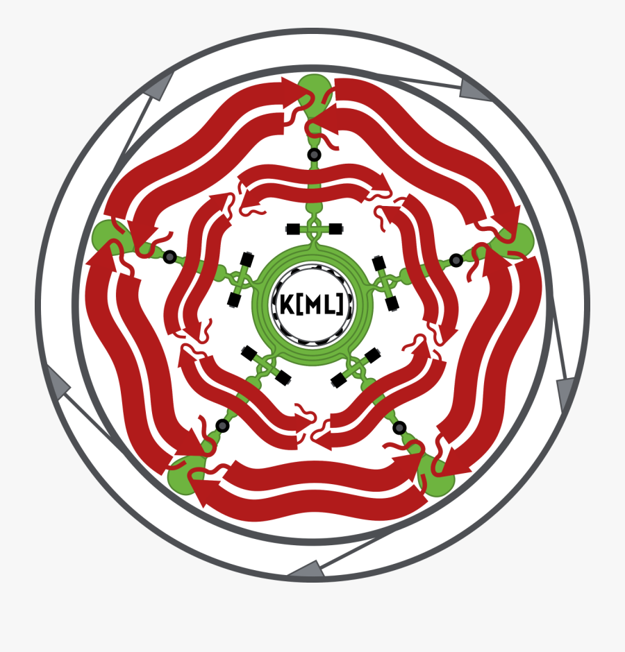 Circle, Transparent Clipart