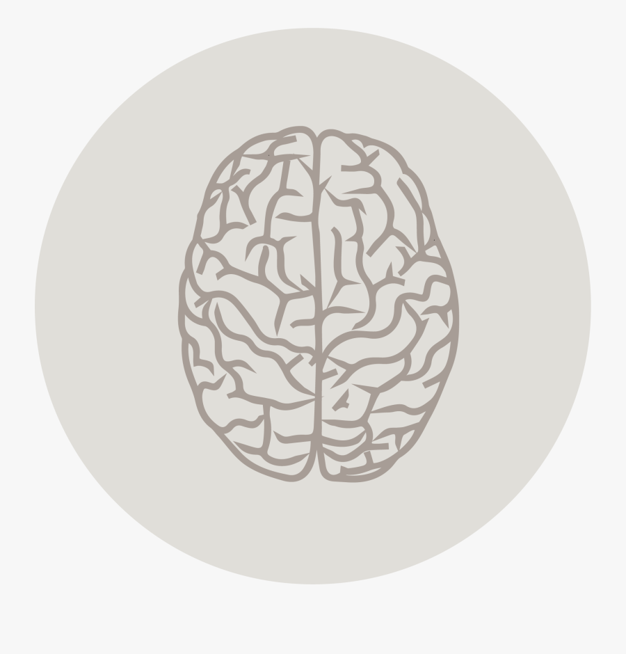Left Brain And Right Brain Sketch, Transparent Clipart