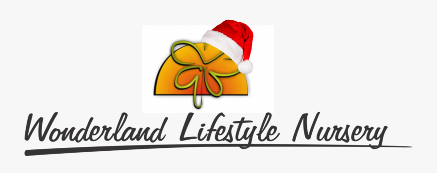 Wonderland Lifestyle Nursery - Sac Federal Credit Union, Transparent Clipart
