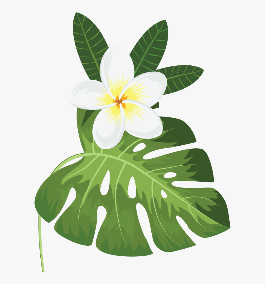 Background Save The Date, Transparent Clipart