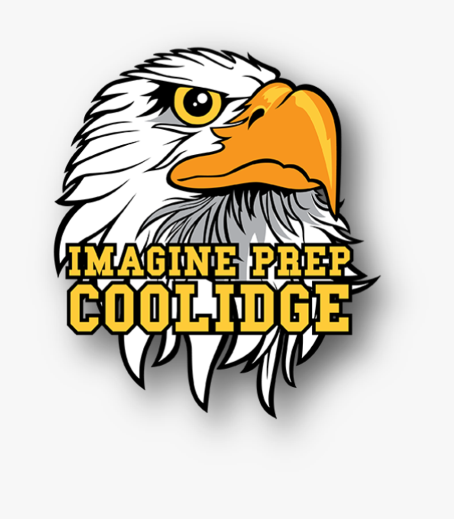 Bald Eagle, Transparent Clipart