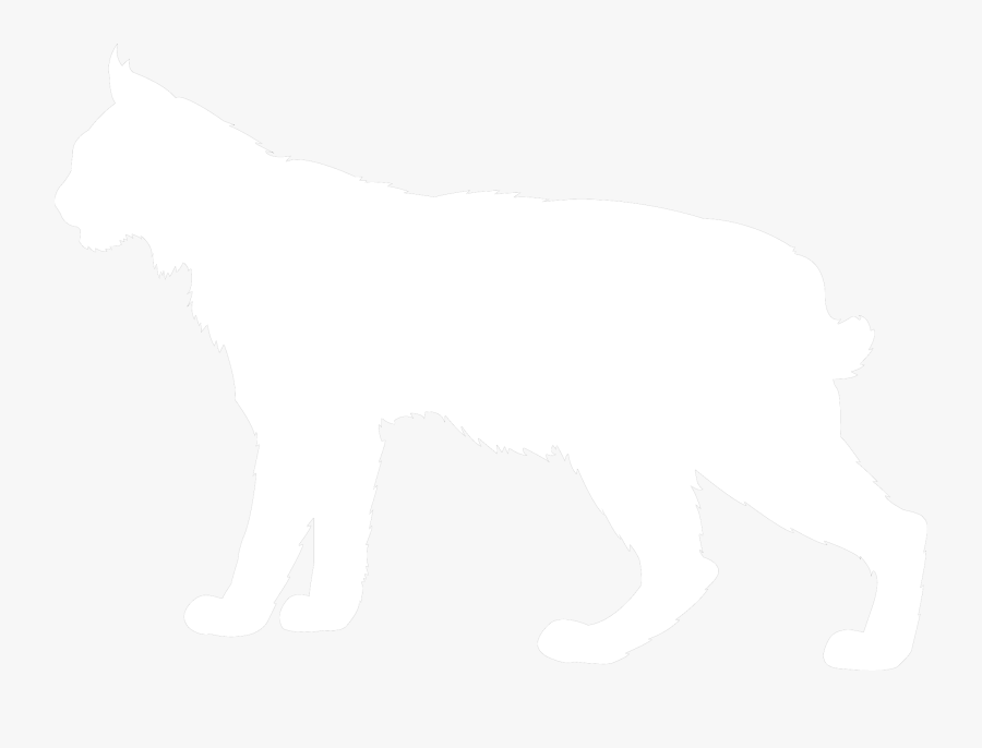 Dog, Transparent Clipart