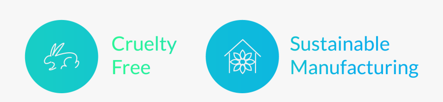 Circle, Transparent Clipart