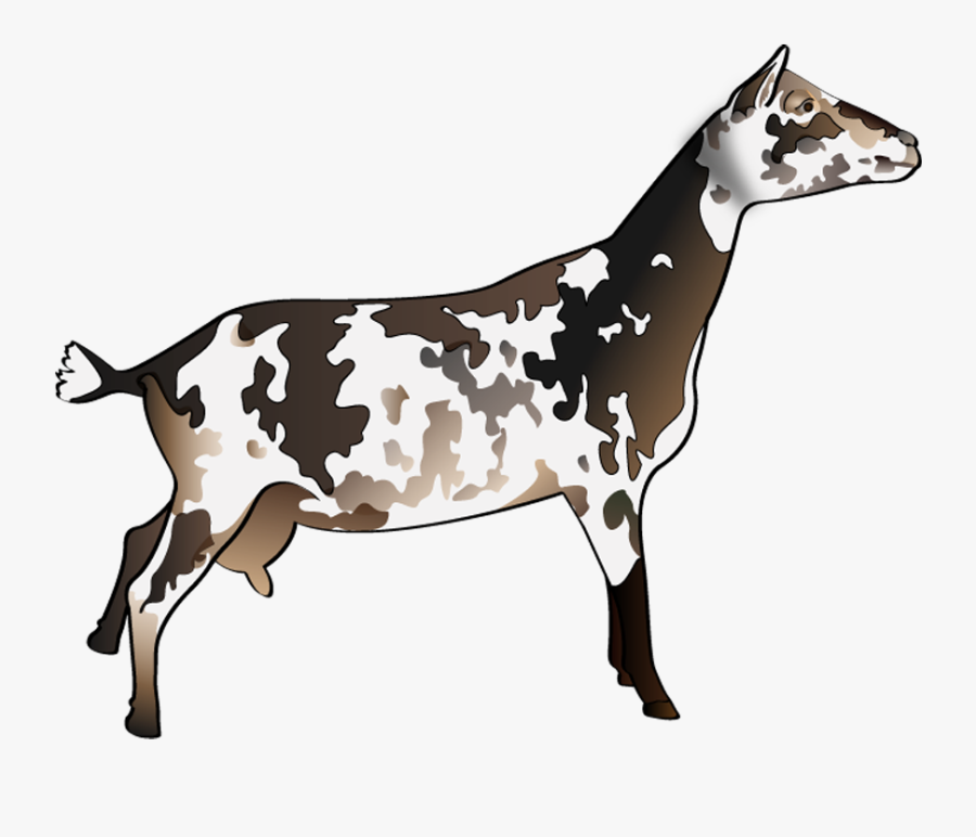 Dairy Cow, Transparent Clipart