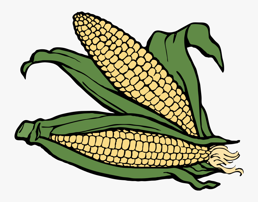Transparent Corn Husk Clipart - Coloring For Corn, Transparent Clipart