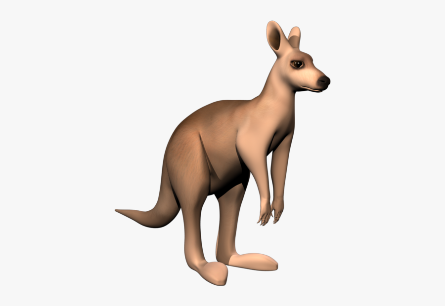 Kangaroo, Transparent Clipart