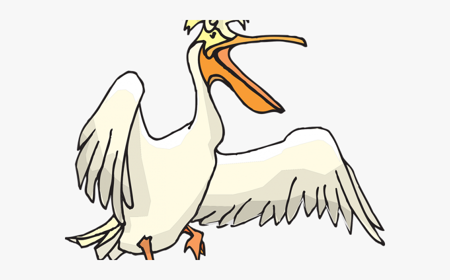 Pelican Clipart Transparent - Pelican, Transparent Clipart