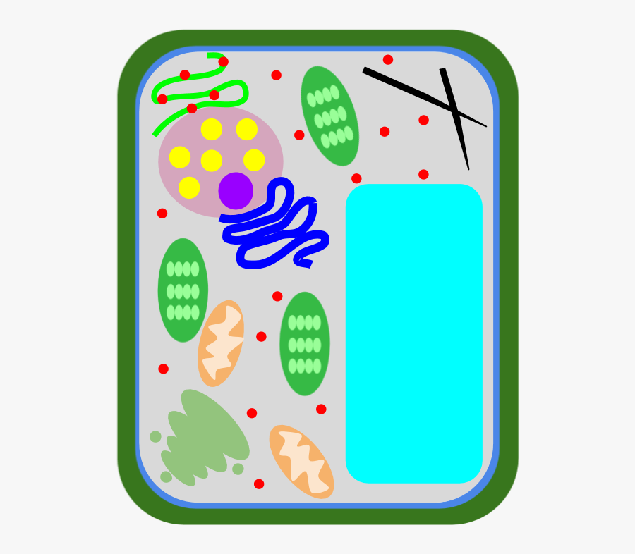 Clip Art, Transparent Clipart