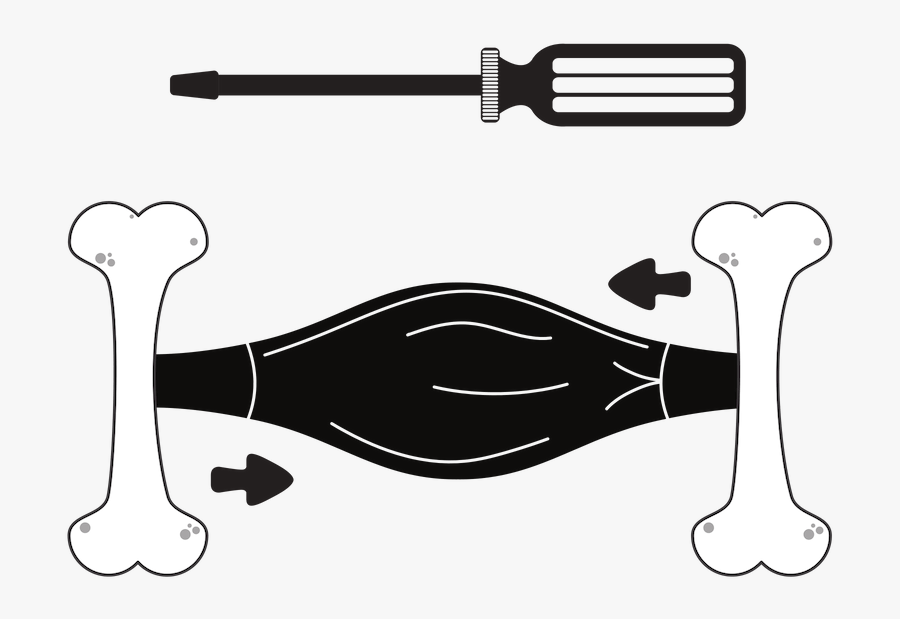 Image Comparing Muscle Movement To Screwdrivers, Transparent Clipart