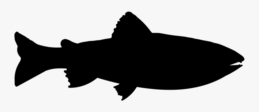 Transparent Fish Silhouette Png - Trout Silhouette Clip Art, Transparent Clipart