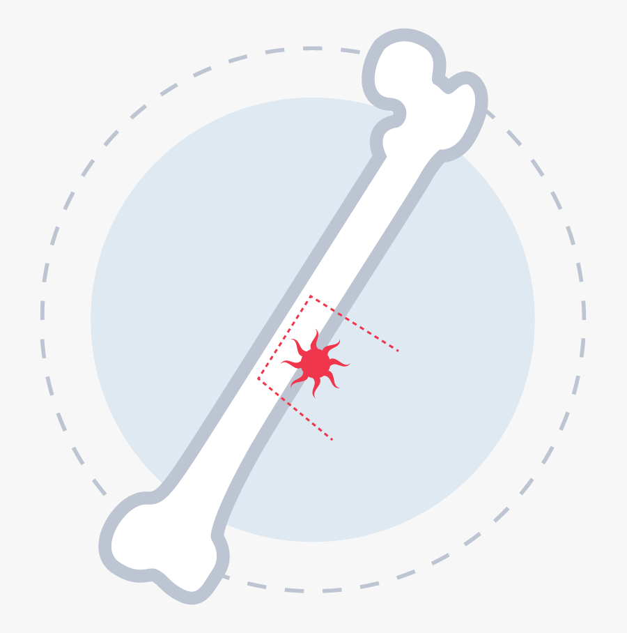 Circle Clipart , Png Download - Circle, Transparent Clipart