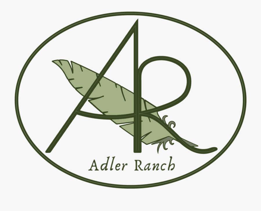 Adler Logo Color - Illustration, Transparent Clipart