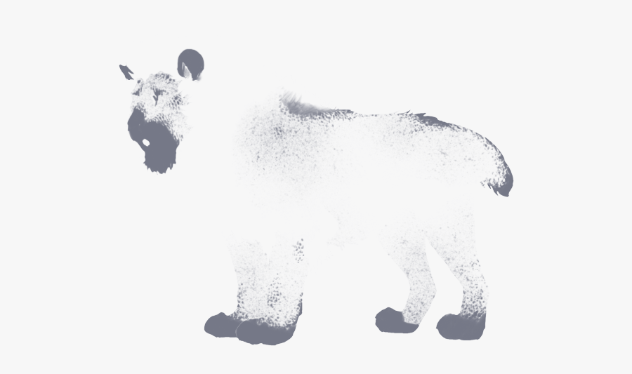 Grizzly Bear, Transparent Clipart