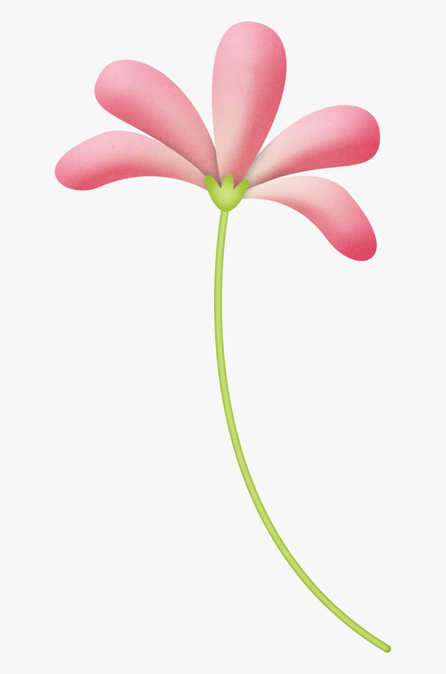 Lily, Transparent Clipart