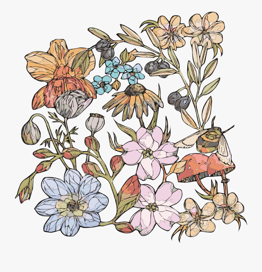 Rose, Transparent Clipart