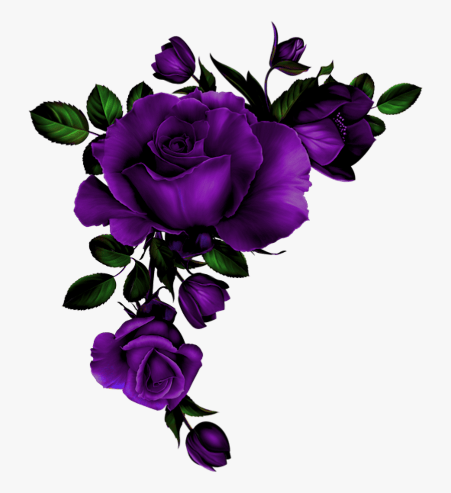 Red Roses Watercolor Png Clipart , Png Download - Purple Roses Border