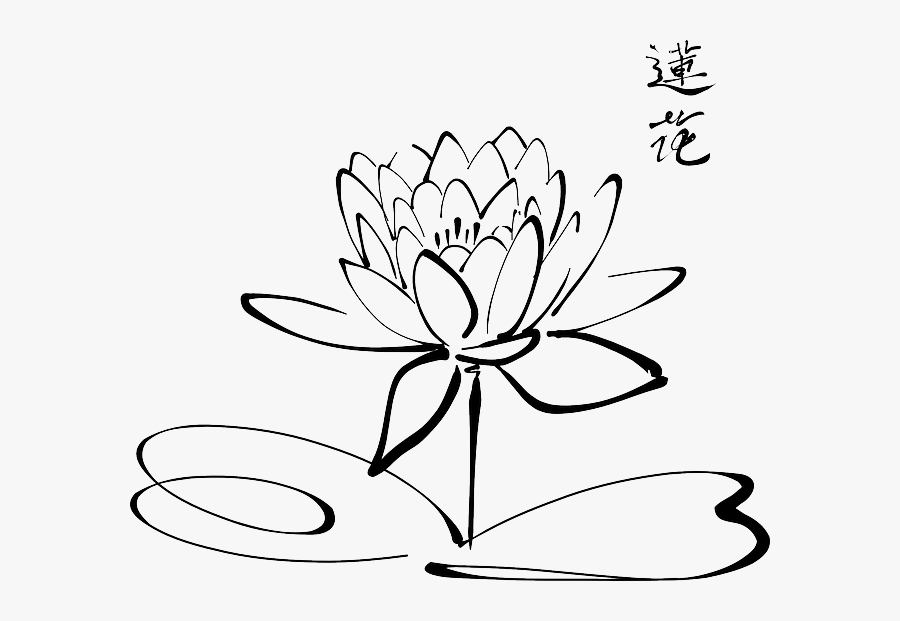 Collection Of Free Garden Drawing Lotus Flower Download - Water Lily Coloring Pages, Transparent Clipart