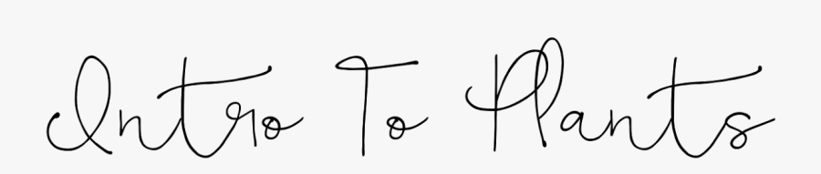 Calligraphy, Transparent Clipart