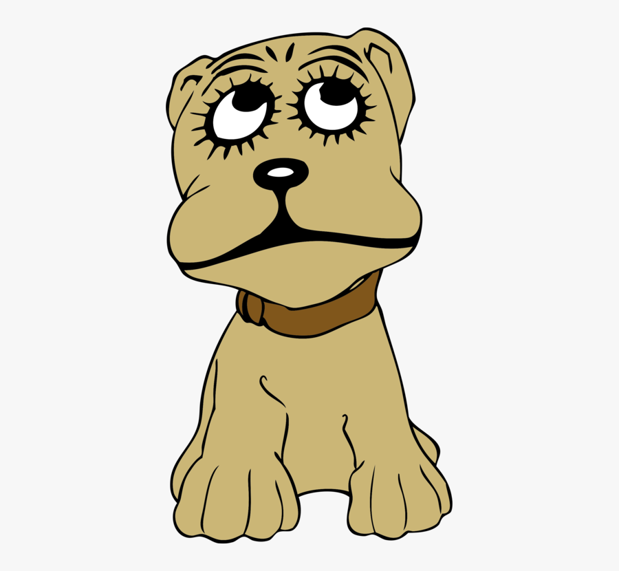 Head,small To Medium Sized Cats,big Cats - Best Black And White Catonz, Transparent Clipart