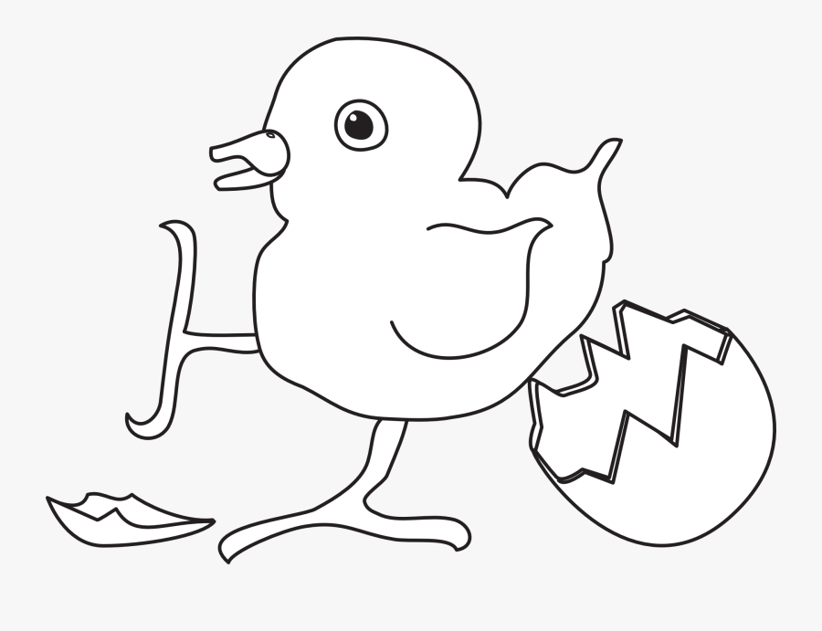 Malvorlagen Kostenlos Küken , Free Transparent Clipart - ClipartKey