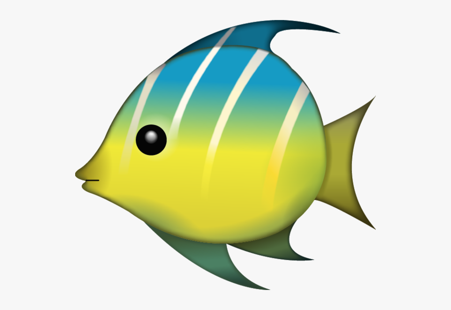 Transparent Background Fish Clipart, Transparent Clipart