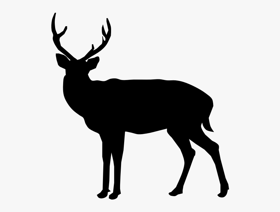 Deer Silhouette-1573809884 - Transparent Background Black Deer Silhouette, Transparent Clipart