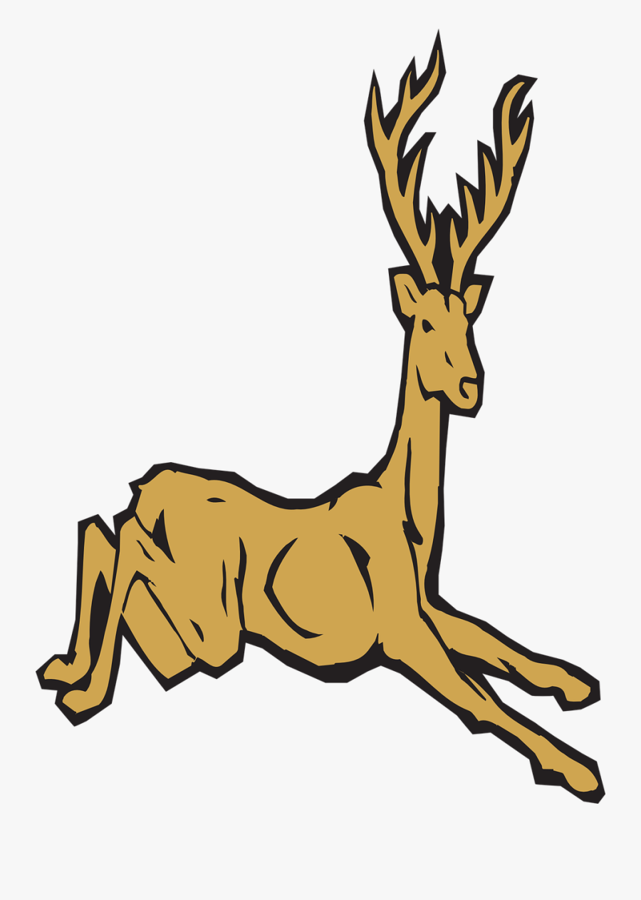 Brown Deer Forest Free Photo - Deer, Transparent Clipart