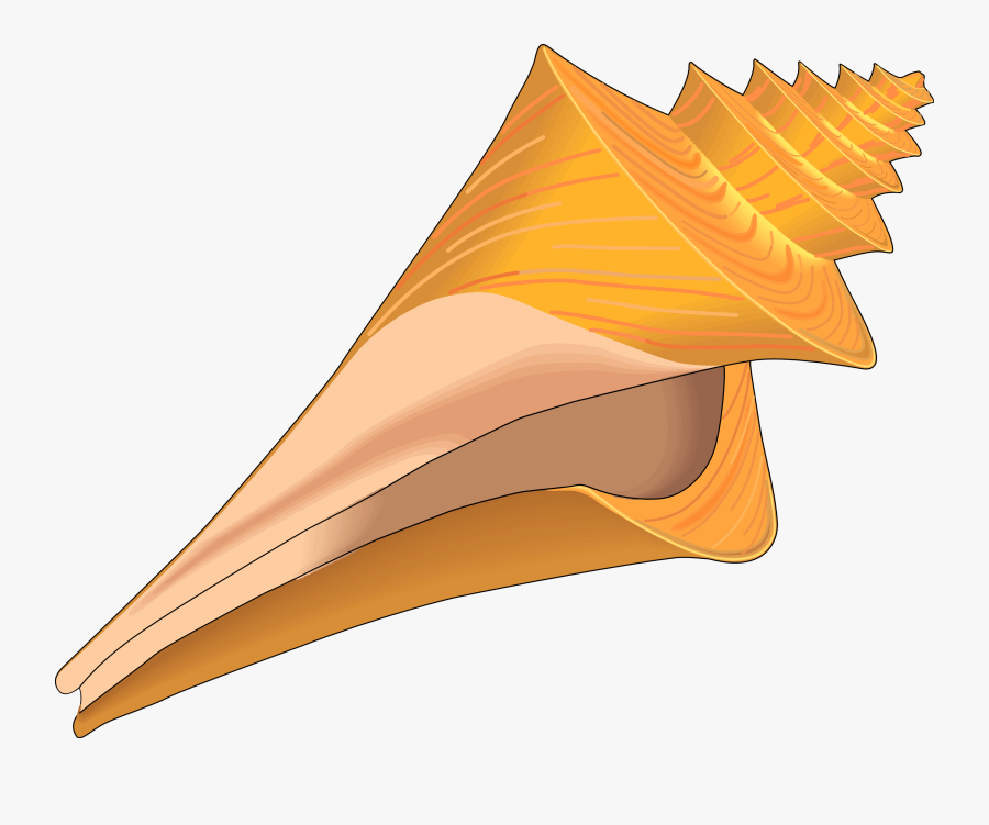 Aliexpress Com Buy Bridal Umbrella And Lace Fan - 2 Seashell Clipart, Transparent Clipart