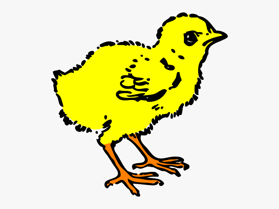 Clip Art Black And White Chick, Transparent Clipart