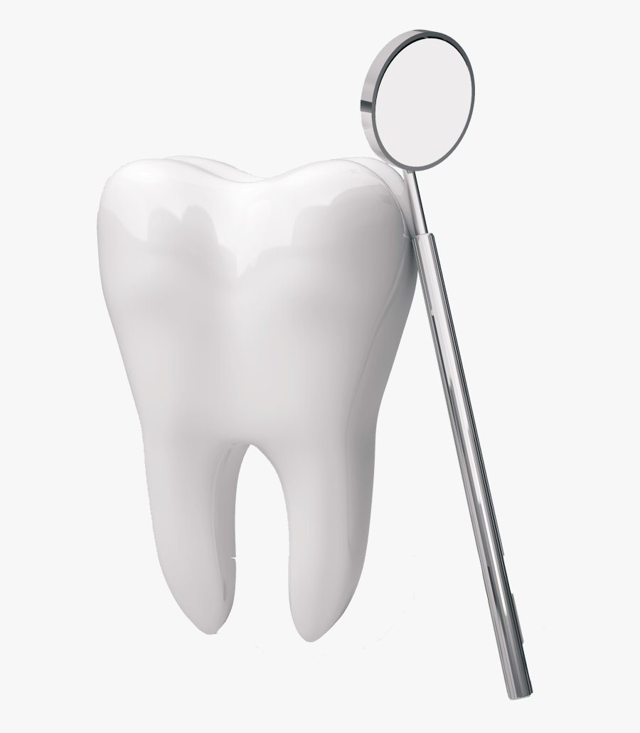 Human Tooth The Center For Family & Cosmetic Dentistry - Tooth Dental Png, Transparent Clipart