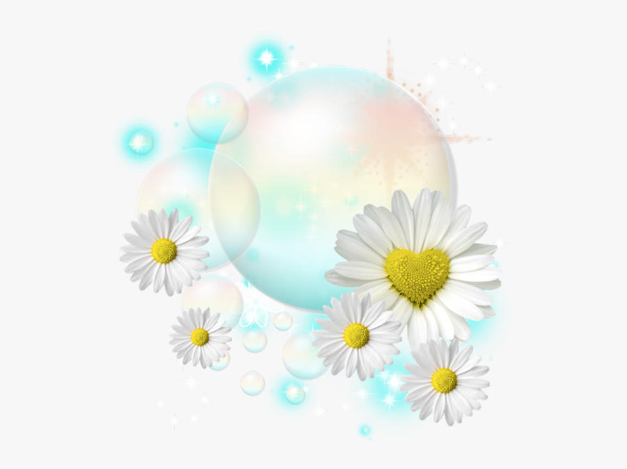 Gif Joyeux Anniversaire Marguerite Free Transparent Clipart Clipartkey