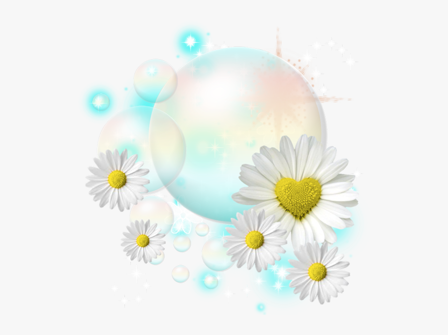 Gif Joyeux Anniversaire Marguerite, Transparent Clipart