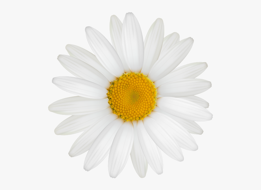 Kate Spade Ipod 6 Cases, Transparent Clipart