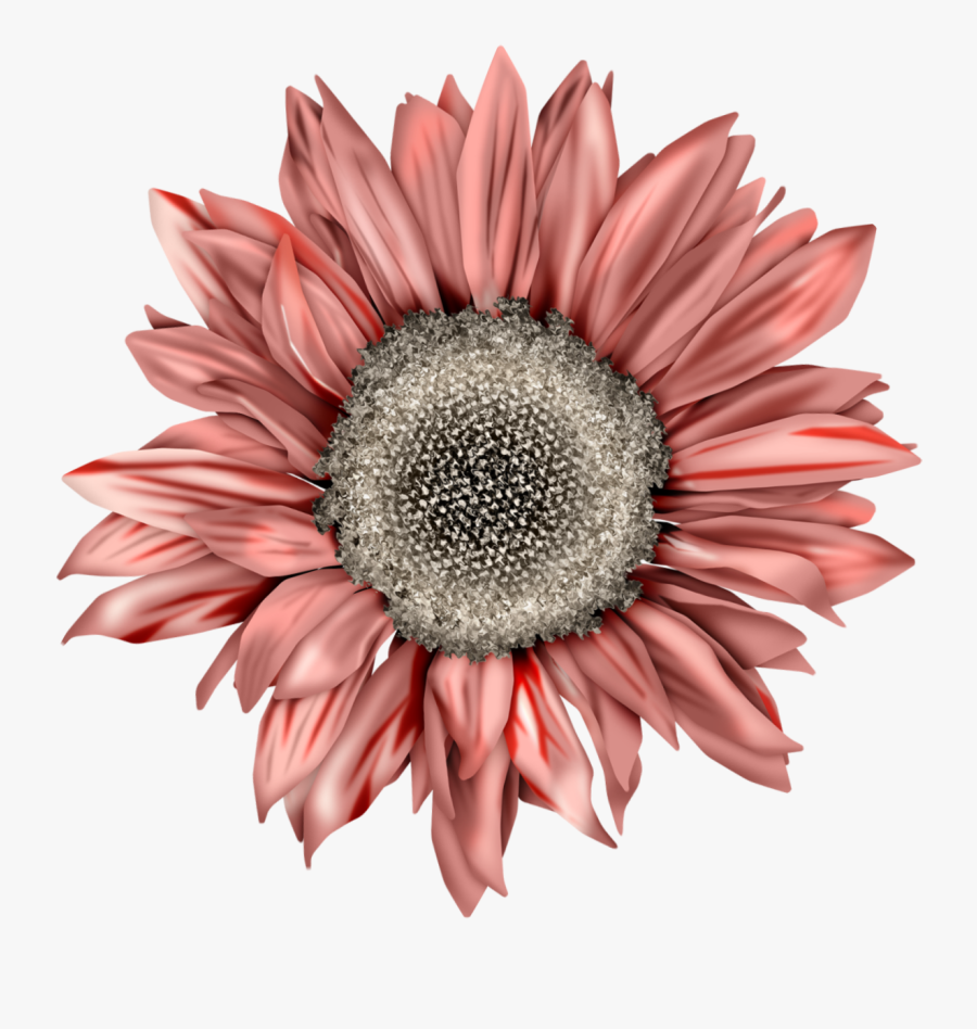 Autumn Sunflower Clip Art , Free Transparent Clipart ...