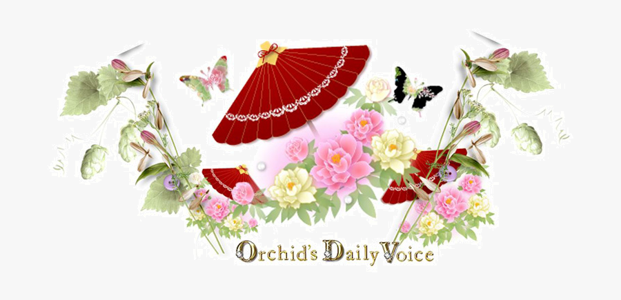 Hybrid Tea Rose, Transparent Clipart