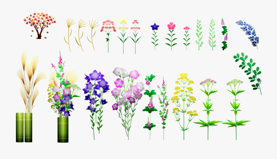 Monkshood, Transparent Clipart