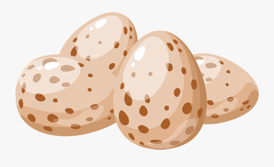 Transparent Huevos Png - Clip Art Bird Eggs, Transparent Clipart