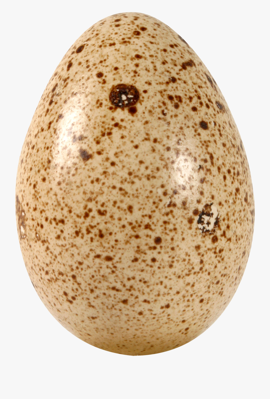 Egg Png - Transparent Background Quail Egg Png, Transparent Clipart