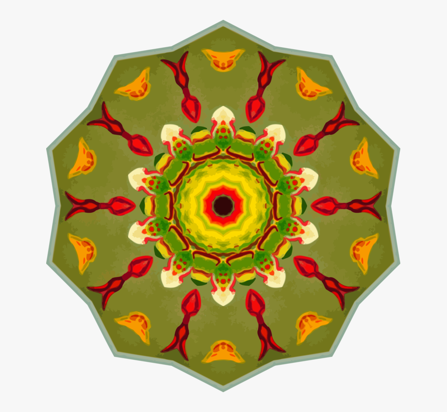 Plant - Umbrella, Transparent Clipart