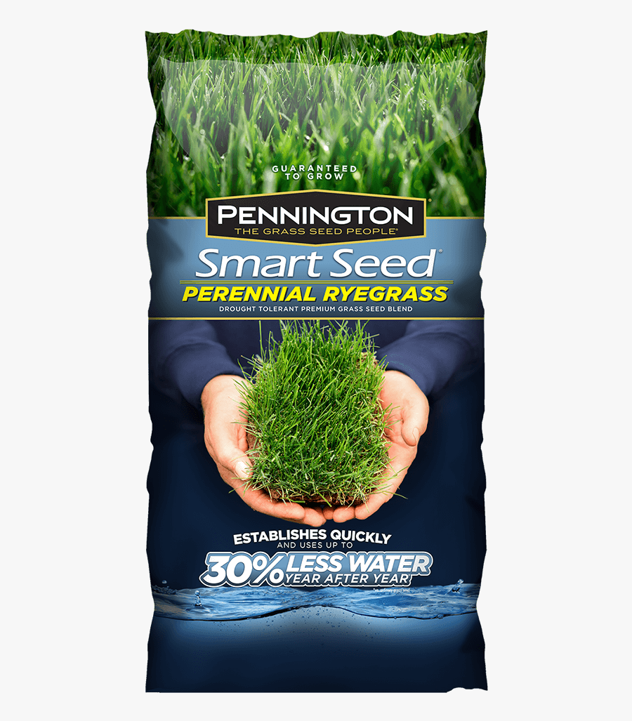 Smart Seed Perennial Pennington, Transparent Clipart