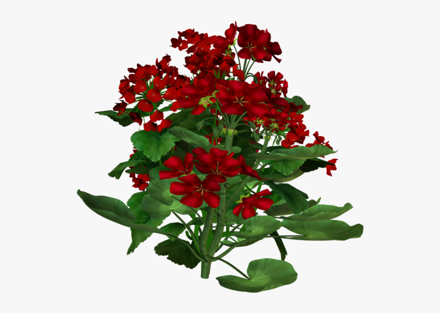 Ładne Kwiaty Png, Transparent Clipart