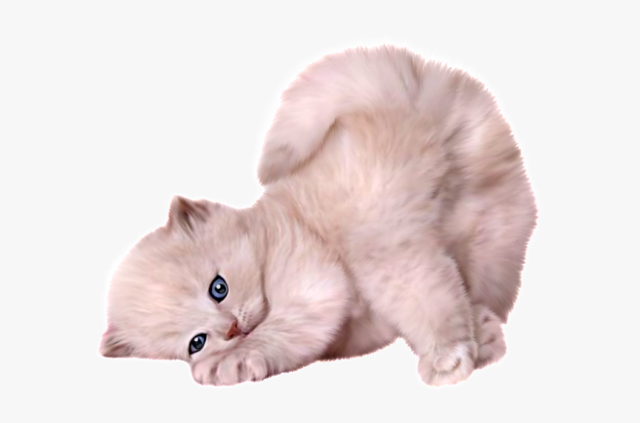 Pin By Turtle Razer - Cat Png, Transparent Clipart