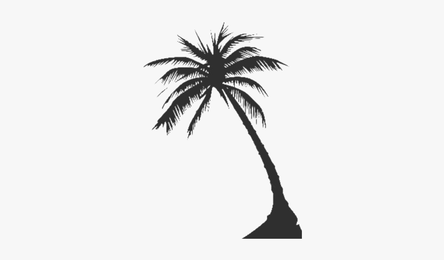 Long Coconut Tree Png Clipart - Coconut Tree Vector Png, Transparent Clipart