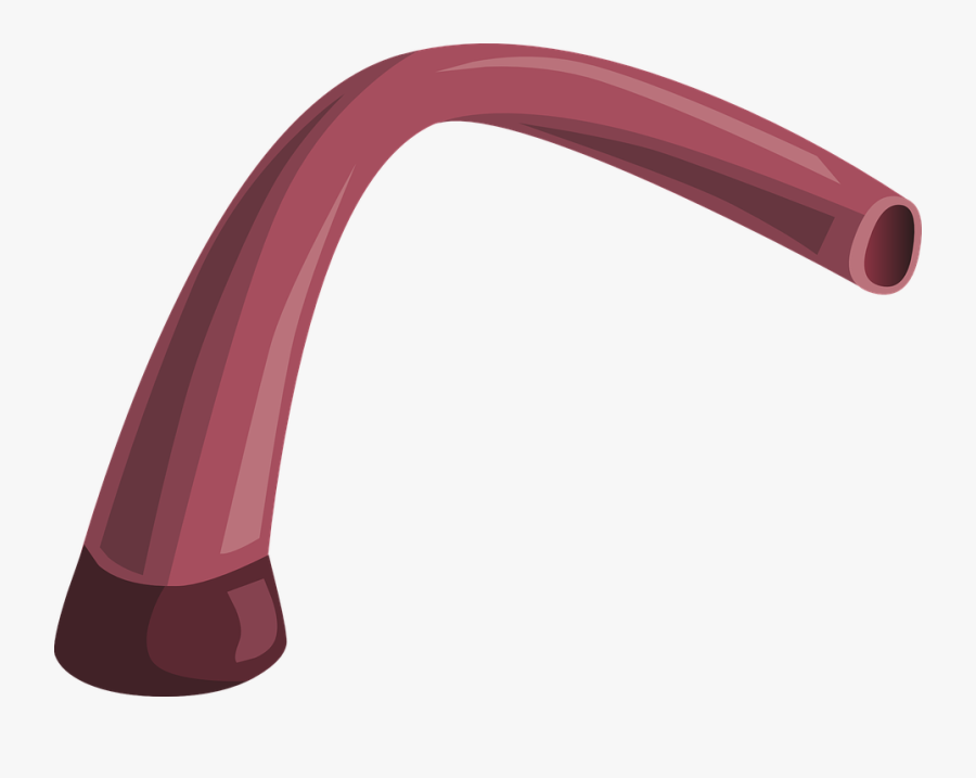 Artére Tuyau De Pipe, Transparent Clipart